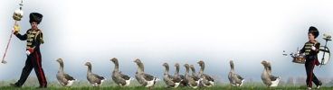 ganzenfanfare